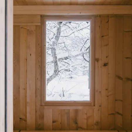 Chalet Le Saanen *