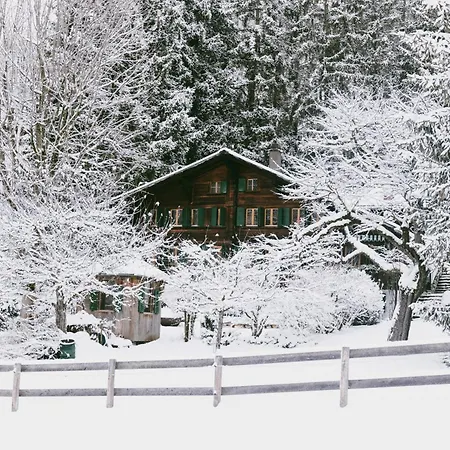 Le Saanen *
